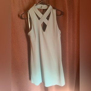 Naked Zebra light mint green color